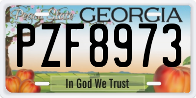 GA license plate PZF8973
