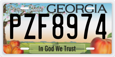 GA license plate PZF8974