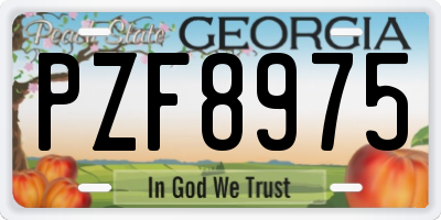 GA license plate PZF8975