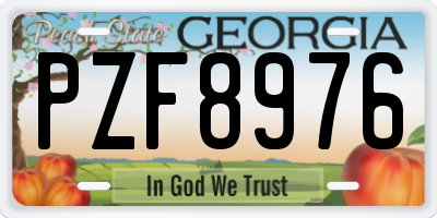 GA license plate PZF8976