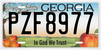 GA license plate PZF8977