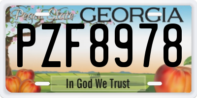 GA license plate PZF8978