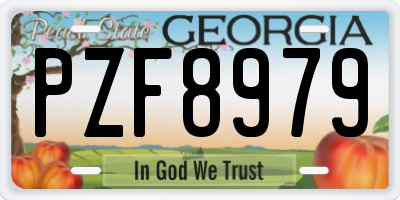 GA license plate PZF8979