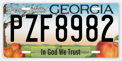 GA license plate PZF8982