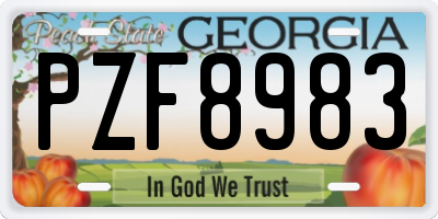 GA license plate PZF8983