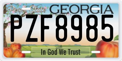 GA license plate PZF8985