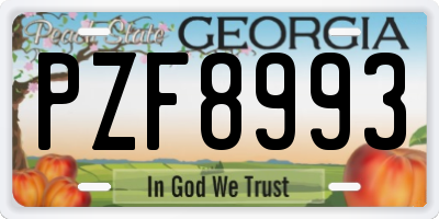 GA license plate PZF8993