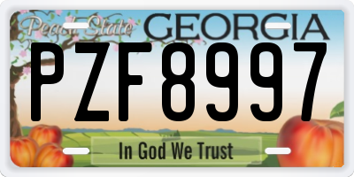GA license plate PZF8997
