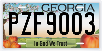 GA license plate PZF9003