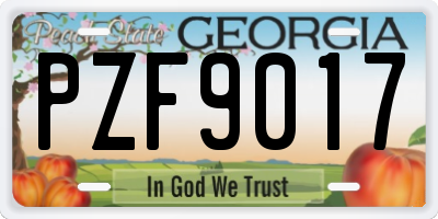 GA license plate PZF9017