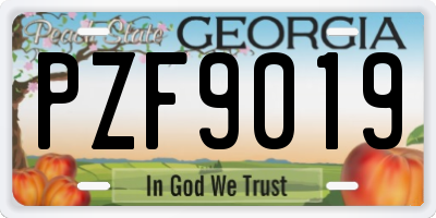 GA license plate PZF9019
