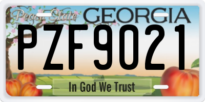 GA license plate PZF9021