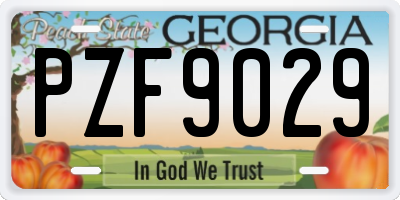 GA license plate PZF9029