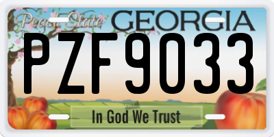 GA license plate PZF9033