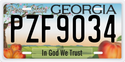 GA license plate PZF9034