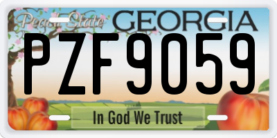 GA license plate PZF9059
