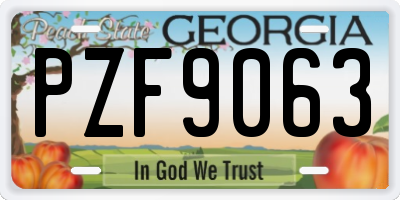 GA license plate PZF9063