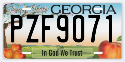 GA license plate PZF9071