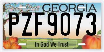 GA license plate PZF9073