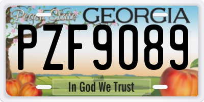GA license plate PZF9089