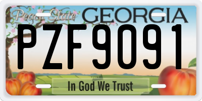 GA license plate PZF9091