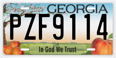 GA license plate PZF9114