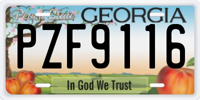 GA license plate PZF9116