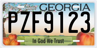 GA license plate PZF9123