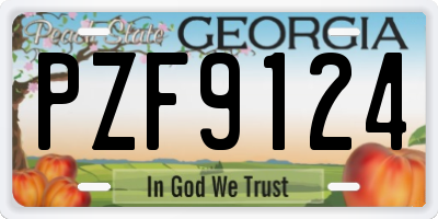GA license plate PZF9124