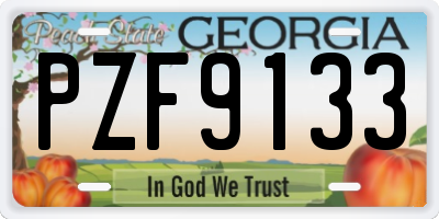 GA license plate PZF9133