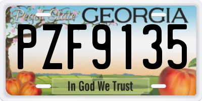 GA license plate PZF9135