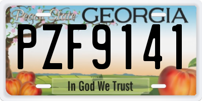 GA license plate PZF9141