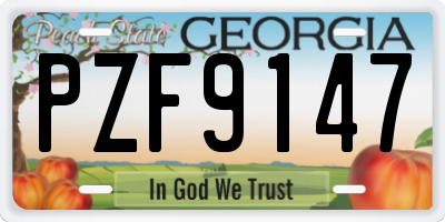 GA license plate PZF9147
