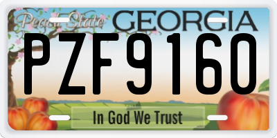 GA license plate PZF9160
