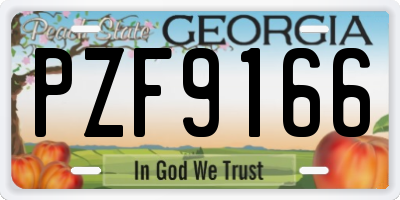GA license plate PZF9166