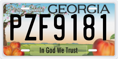 GA license plate PZF9181