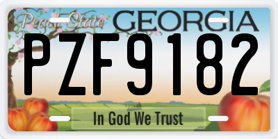 GA license plate PZF9182