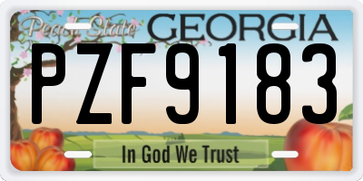 GA license plate PZF9183