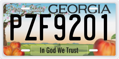 GA license plate PZF9201