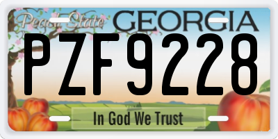 GA license plate PZF9228