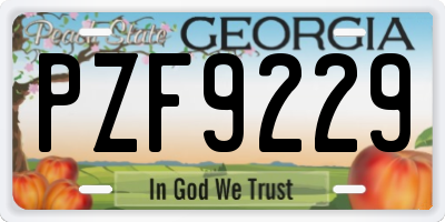 GA license plate PZF9229