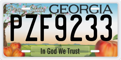 GA license plate PZF9233
