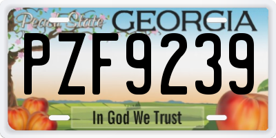 GA license plate PZF9239