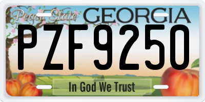 GA license plate PZF9250