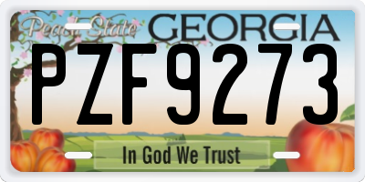 GA license plate PZF9273