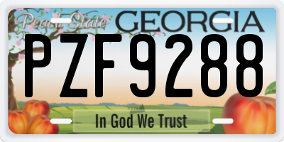 GA license plate PZF9288