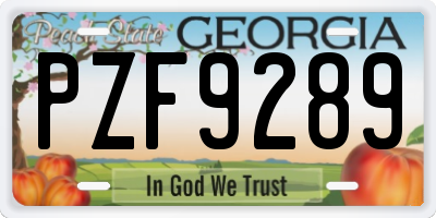 GA license plate PZF9289