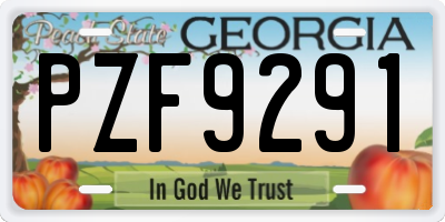 GA license plate PZF9291