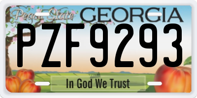 GA license plate PZF9293