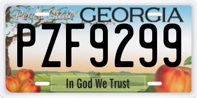 GA license plate PZF9299